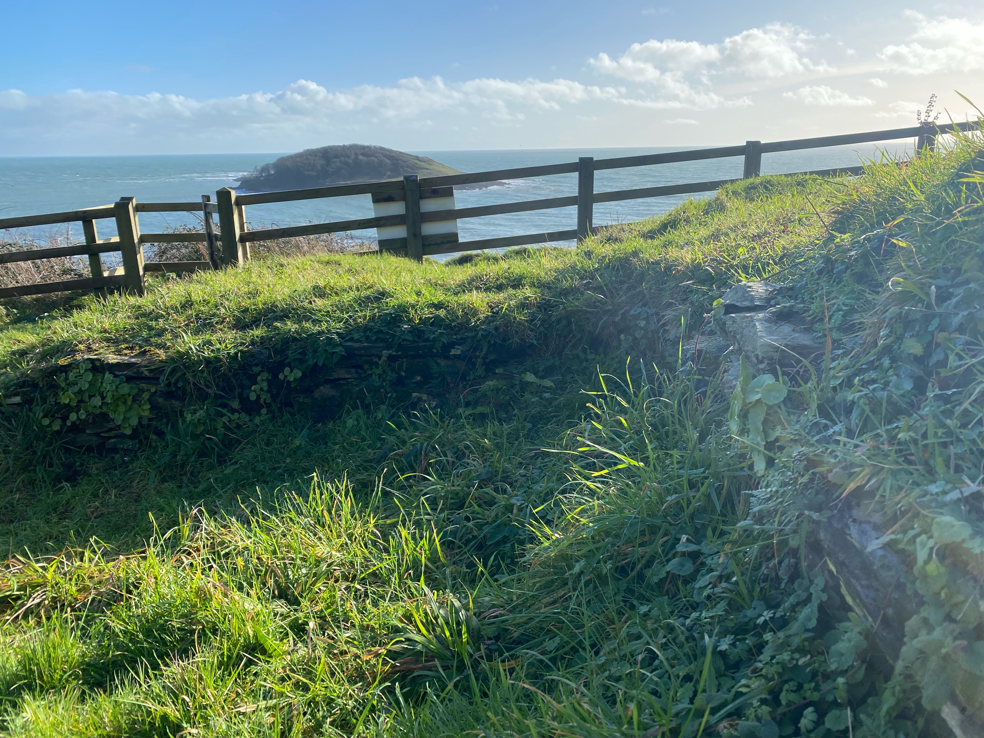 Lammana priory and Looe Island
