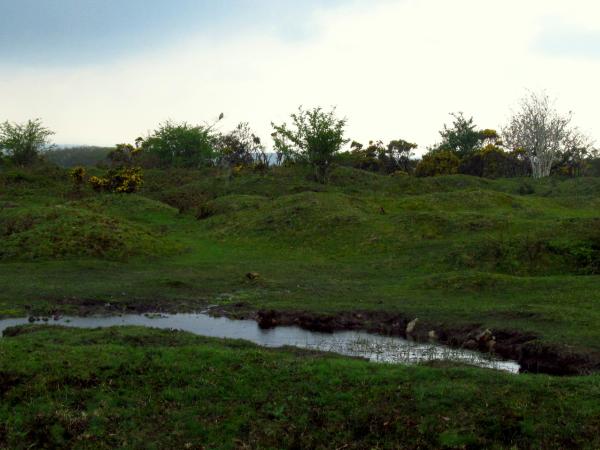 Crow Pound near St Neot
