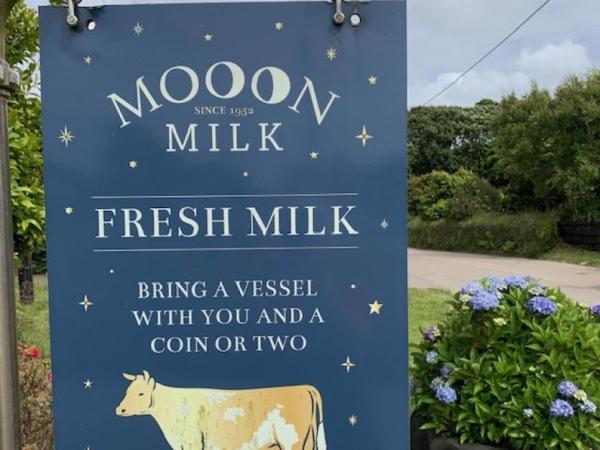 Moon Milk dairy in St Buryan