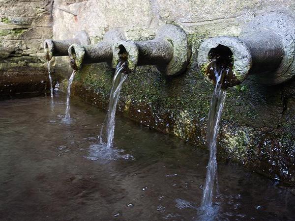 Liskeard Pipewell, 4 pipes