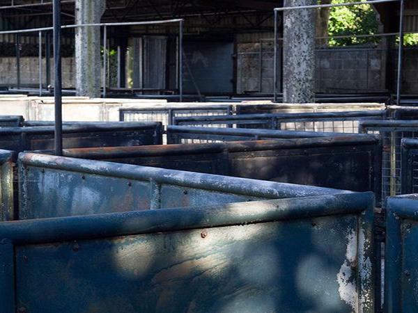 Liskeard cattle market