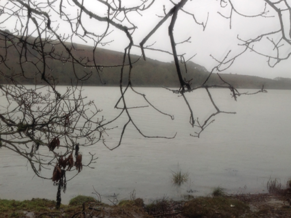 Looking across the River Lynher to the Dandy Hole.