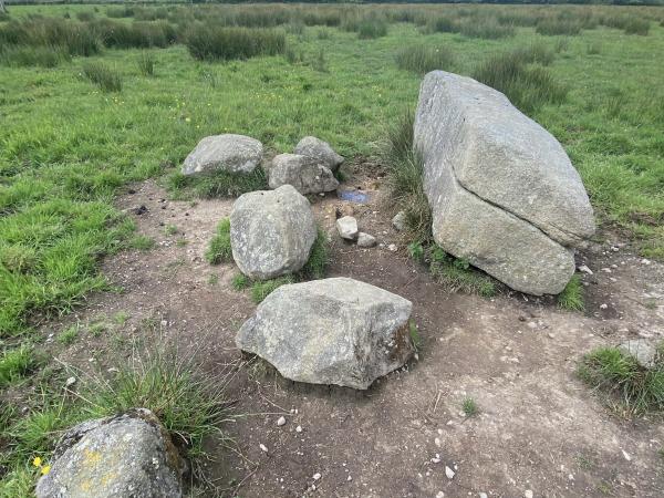 granite boulders on moorland, the Crowsa stones 
