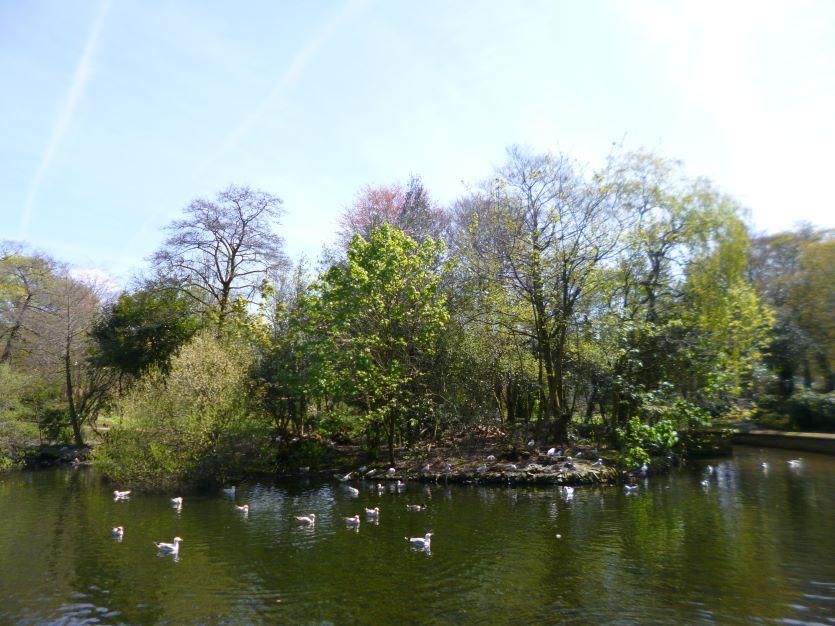 Bodmin Priory Park Pond