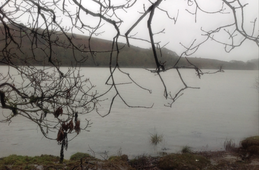 Looking across the River Lynher to the Dandy Hole.